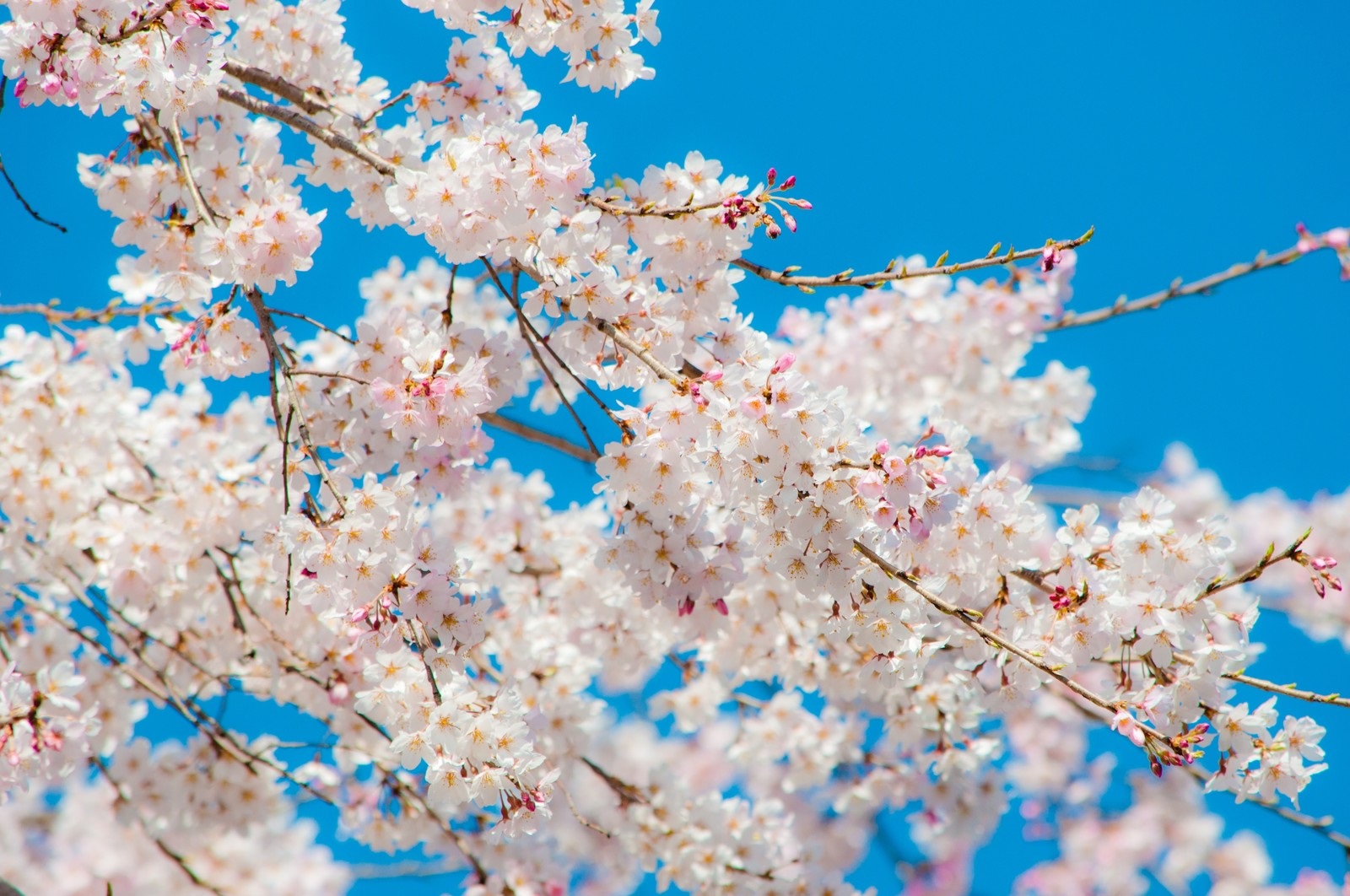 ４月になりました🌸